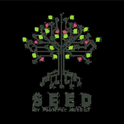 Seed – Ayoub Habcy